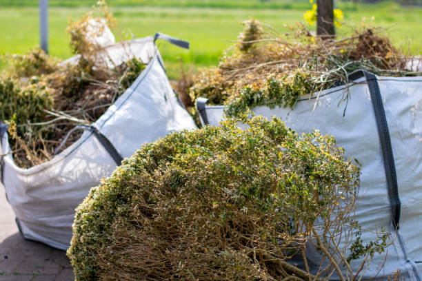 Best Electronics and E-Waste Disposal  in Paramount Long Meadow, MD